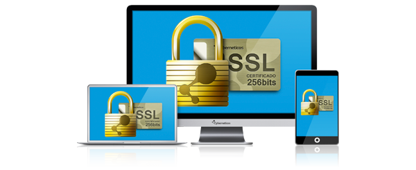 Asegure su sitio en los navegadores web Sitio Seguro