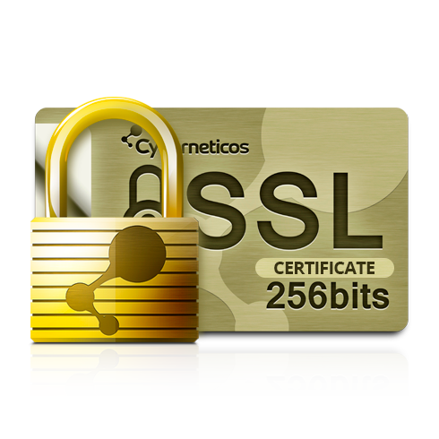 SSL certificates of Cyberneticos SSL certificate
