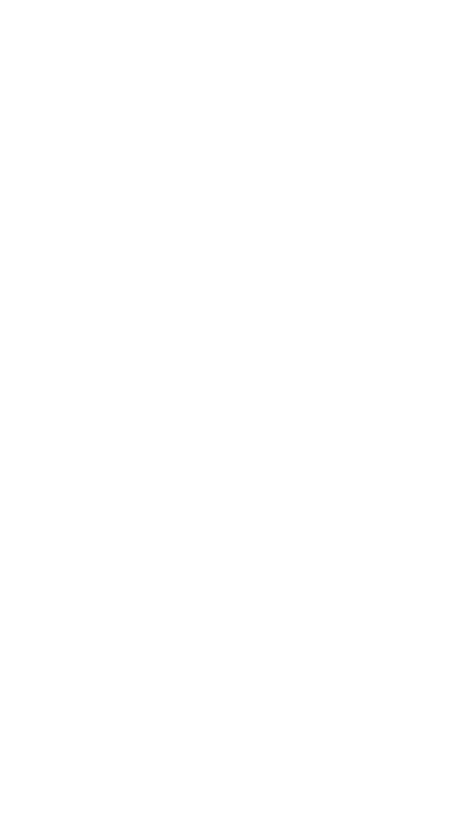 Development Cybermóvil Cybermóvil Application