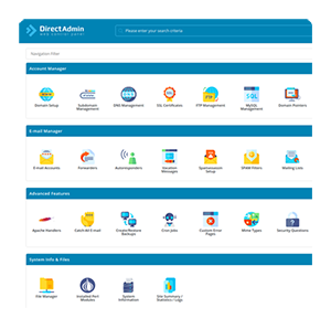 Web hosting para un dominio