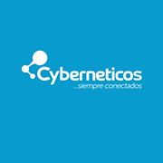 (c) Cyberneticos.com
