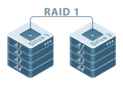 RAID1